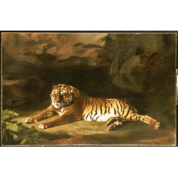 Portrait of the royal tiger c1770
