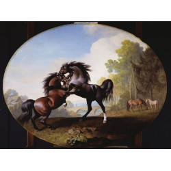 Stallions fighting 1781