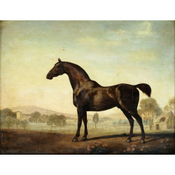 Sweetwilliam a bay racehorse in a paddock 1779