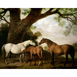 Two shafto mares and a foal 1774
