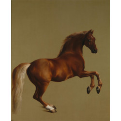 Whistlejacket