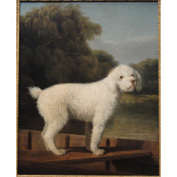 White poodle in a punt 1780