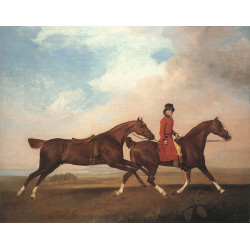 William anderson with two saddle horses 1793