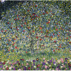 Apple tree i Apple tree i