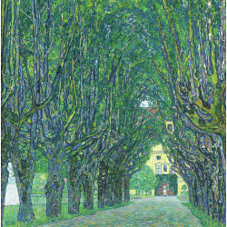 Avenue in the park of schloss kammer 1912