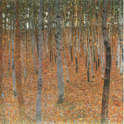 Birch forest 1902