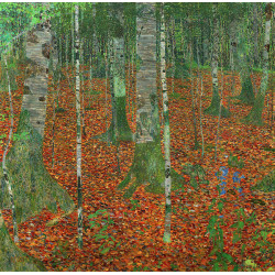 Birch forest 1903 2