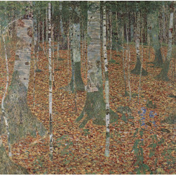 Birch forest 1903