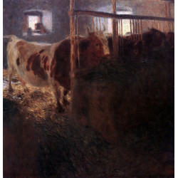 Cows in the barn 1899
