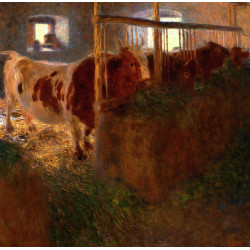 Cows in the barn