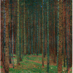 Fir forest 1901