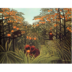 Apes in the orange grove