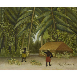 Banana harvest 1907