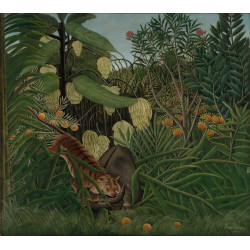 Fight between a tiger and a buffalo 1908