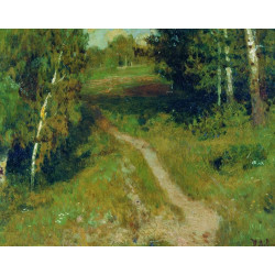 A birch grove A birch grove