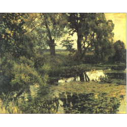 Overgrown pond 1887 1