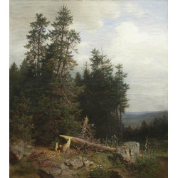 At the edge of the forest