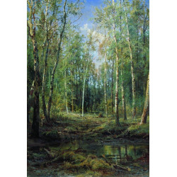 Birch grove 1875