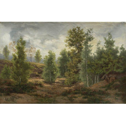 Edge of the forest 2