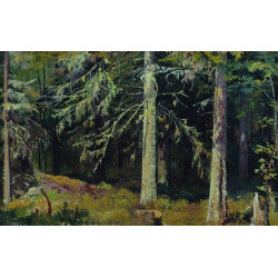 Fir forest 1890 1
