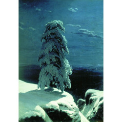 In the wild north 1891 In the wild north 1891