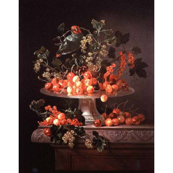 A still life of cherries and currants with a parrot