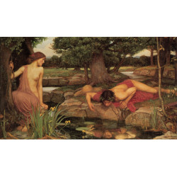 Echo and narcissus 1903