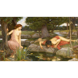 Echo and narcissus