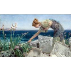 Among the ruins 1904