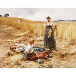 Harvesters at mont saint pre