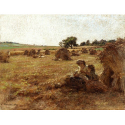 Mother breastfeeding during harvest