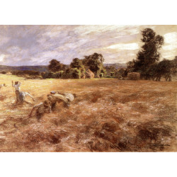 Storm over the harvest