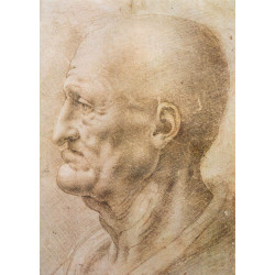 Profile of an old man Profile of an old man