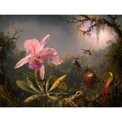 Cattleya orchid and three hummingbirds 1871