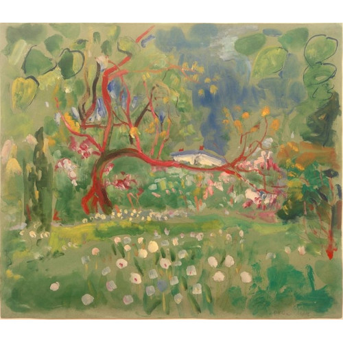 Fruehling im riesengebirge