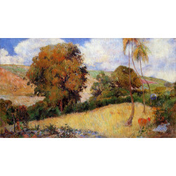 Meadow in martinique 1887