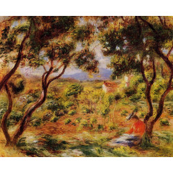 The vineyards of cagnes