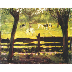 Calves in a field bordered by willow trees