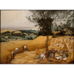 The harvesters The harvesters