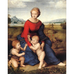 Madonna in the meadow 1506
