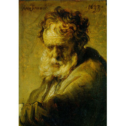 A bust of an old man 1633