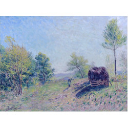 Going to the forest in spring 1886