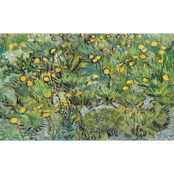 A field of yellow flowers 1889