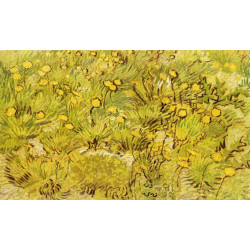 A field of yellow flowers