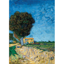 A lane near arles A lane near arles