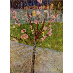 Almond tree in blossom 1888