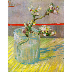 Blossoming almond branch in a glass Blossoming almond branch in a glass