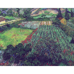 Field with poppies 1889