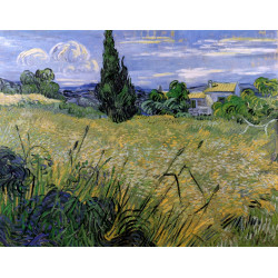 Green wheat field with cypress 1889 2