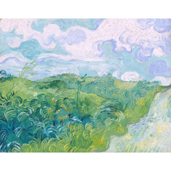 Green wheat fields auvers 1890